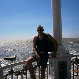 �������, ��������, 41 ���