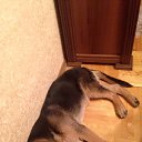 ���� Alexandr, �����-���������, 45 ��� - ��������� 11 ������� 2015 � ������ �����