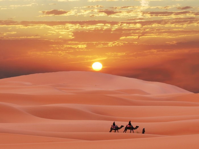    -   (Sahara Desert).     .   ... - 8