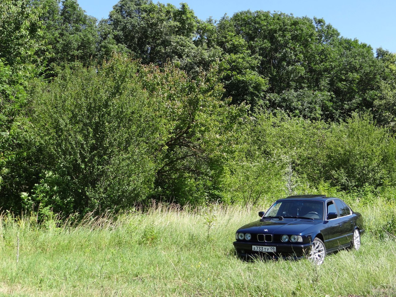 ��� | BMW - 28 ������ 2015 � 01:15 - 7