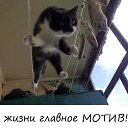 ���� ����, ��������, 59 ��� - ��������� 3 ����� 2015 � ������ ������ ��������