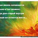 ���� ����, ����� - ��������� 24 ������ 2015 � ������ ������ ��������