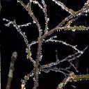 ���� Svann, ���������, 71 ��� - ��������� 19 ������ 2015 � ������ ������ �������!�