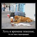 ���� ������, ������, 52 ���� - ��������� 8 ������ 2015 � ������ ������ ��������