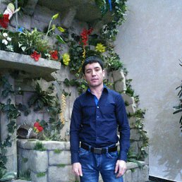 ������, ������������, 41 ���