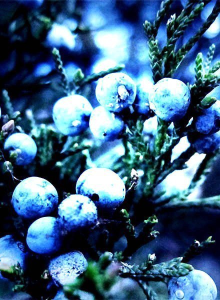  |  2016 |  |  |  - 16  2014  12:12 - 5