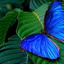 ���� ��������, ���������, 57 ��� - ��������� 22 ������� 2014 � ������ ���� ����������