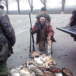 ���� ������, ���������, 54 ���� - ��������� 17 ������� 2014