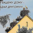 ���� �������, ���������, 68 ��� - ��������� 20 ������ 2015 � ������ ������ ��������
