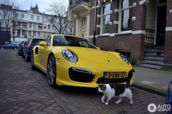 Porsche 991 Turbo - 5