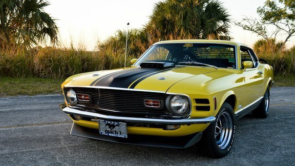 Ford Mustang Mach 1