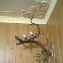 ���� ������, �������, 52 ���� - ��������� 21 ������� 2014 � ������ ���� ����������