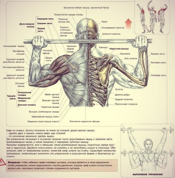 .1 -   , ,    /     ... - 3