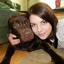 ���� ������, ������ - ��������� 1 ����� 2015 � ������ ���� ����������