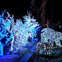 ���� ������, ������������, 72 ���� - ��������� 27 ������ 2015 � ������ ������� ���������߻