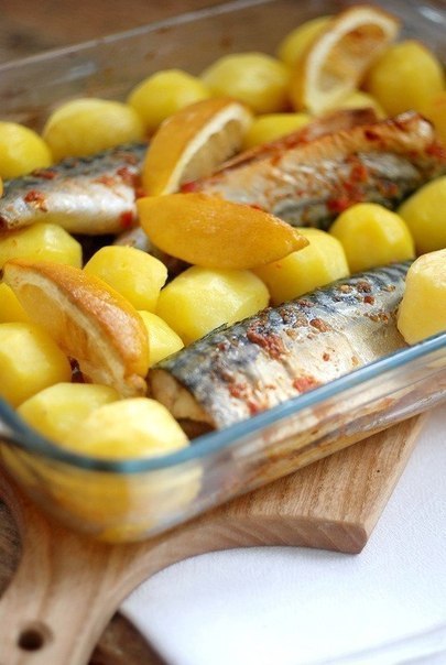     .  5 :5    ( 300  ... - 2