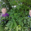 ���� �������, �����, 37 ��� - ��������� 20 ������� 2014 � ������ ���� ����������