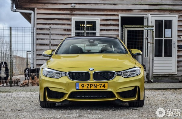 BMW M4 F82 Coup