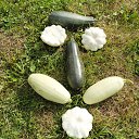 ���� ������� - �� ��������!, �������� - ��������� 19 ������ 2015 � ������ �����������