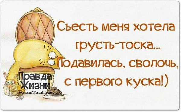 ������ ����� / ���� ! - 12 ������� 2015 � 19:56