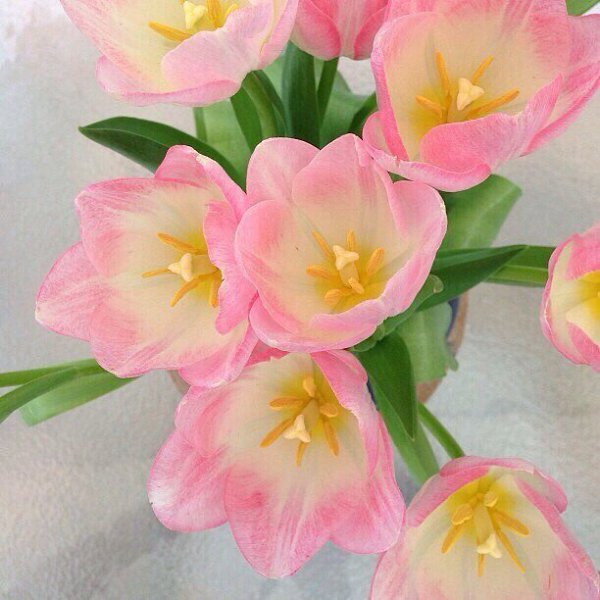   |  |  - 18  2015  23:03 - 2