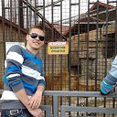 ���� ����, �����, 34 ���� - ��������� 1 ������ 2015 � ������ ���� ����������