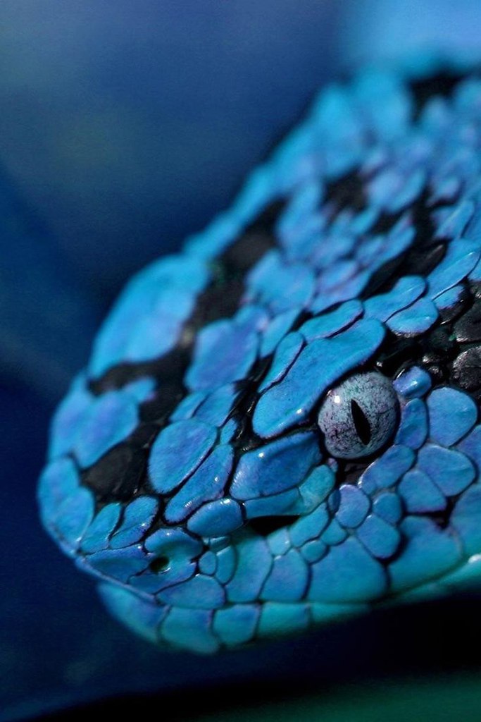    - 21  2015  17:04 - 3