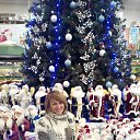 ���� ������, ��������� - ��������� 15 ������ 2015