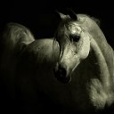 ���� �����, ������ - ��������� 14 ������� 2014 � ������ ������ ��������