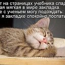 ���� Natjur, ���� - ��������� 11 ������ 2015 � ������ ���� ����������