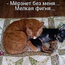 ���� �, ��������� - ��������� 26 ����� 2015 � ������ ���� ����������