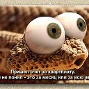 ���� ������, ���� - ��������� 25 ������� 2015 � ������ ������ ��������