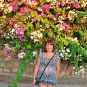 ���� ������, ������, 67 ��� - ��������� 3 ������� 2015 � ������ ���� ����������