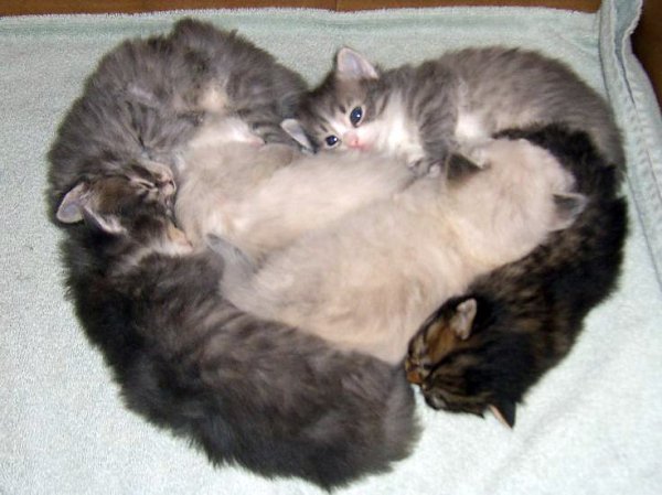    :3