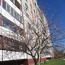 ���� �����, ����� - ��������� 11 ������ 2015 � ������ ���� ����������