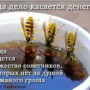 ���� ������, ������, 42 ���� - ��������� 1 ����� 2015 � ������ ������ ��������