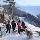 ���� �������, ������, 56 ��� - ��������� 20 ������ 2015 � ������ ���� ����