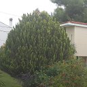 ���� Mr., ���������� - ��������� 14 ������ 2015 � ������ �GREECE: HALKIDIKI-KASSANDRA, ATHENS, THESSALONIKI, DION, OLYMPUS, VERGINA...�