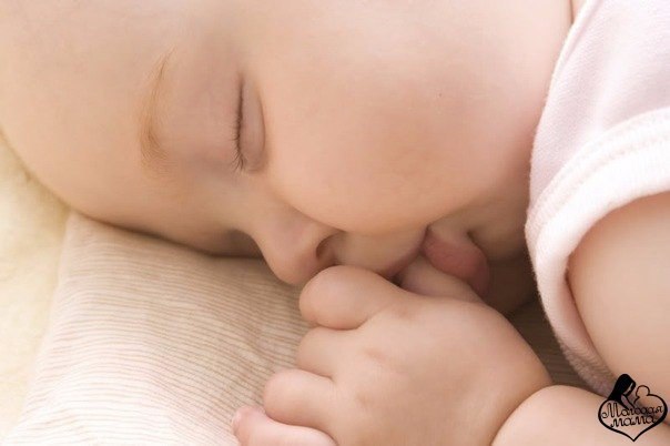     .  ,  .    .     ...