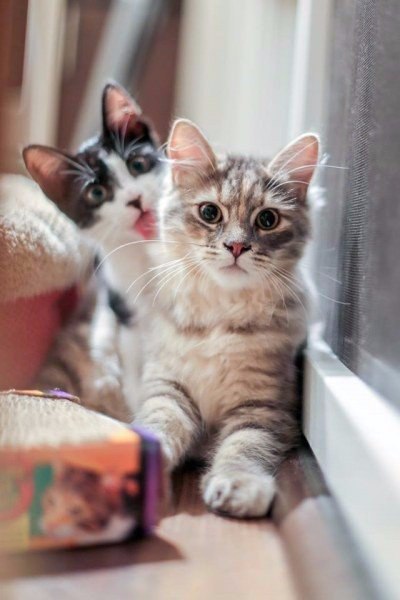 ������� ����� � ��������� ������.#animal@travel.blog - 6