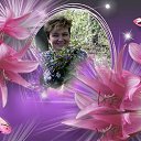 ���� ������, ���� - ��������� 20 ������ 2015