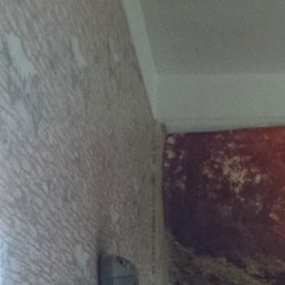 ����, ����������, 60 ���