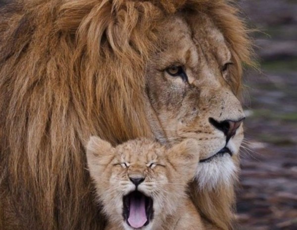   - 21  2015  12:01 - 5