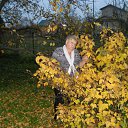 ���� �������, ������� ��������, 72 ���� - ��������� 6 ������ 2015 � ������ ���� ����������