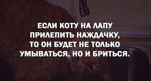 Поднимешь или поднимишь. Боюсь переобниму. Обними меня я током бьюсь. Я бы обнял тебя но боюсь переобниму и вы. Боюсь переобниму и вы бу.