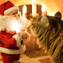 ���� ����������, ������� ��������, 63 ���� - ��������� 8 ����� 2015 � ������ ������ � �����