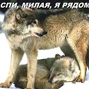 ���� ������, ��������� - ��������� 8 ������ 2015 � ������ ������ ��������