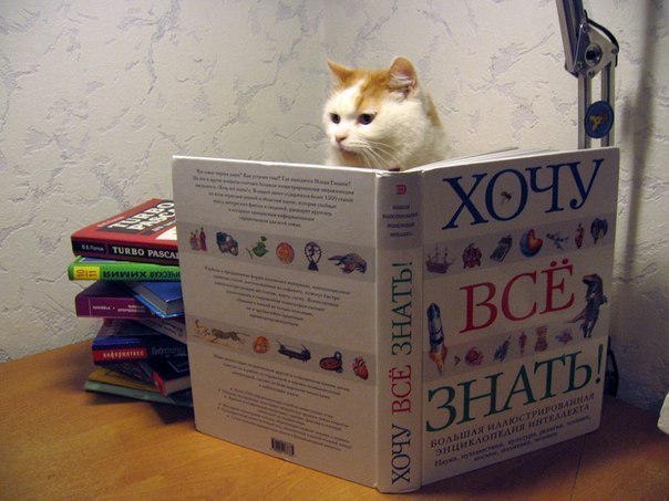 Хотите мыслить шире, читайте! 58 книг, которые научат вас этому! 1. Данте Алигьери «Божественная ...