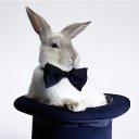 ���� �������, ���������, 52 ���� - ��������� 8 ����� 2015 � ������ ���� ����������