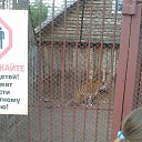 ���� ������, ���������, 52 ���� - ��������� 4 ������ 2015